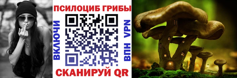 Галлюциногенные грибы мухоморы площадка наркотические препараты Кодинск hydra как зайти